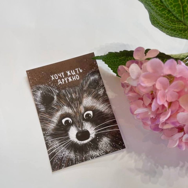 Открытка к букету "Енотик" в Томске