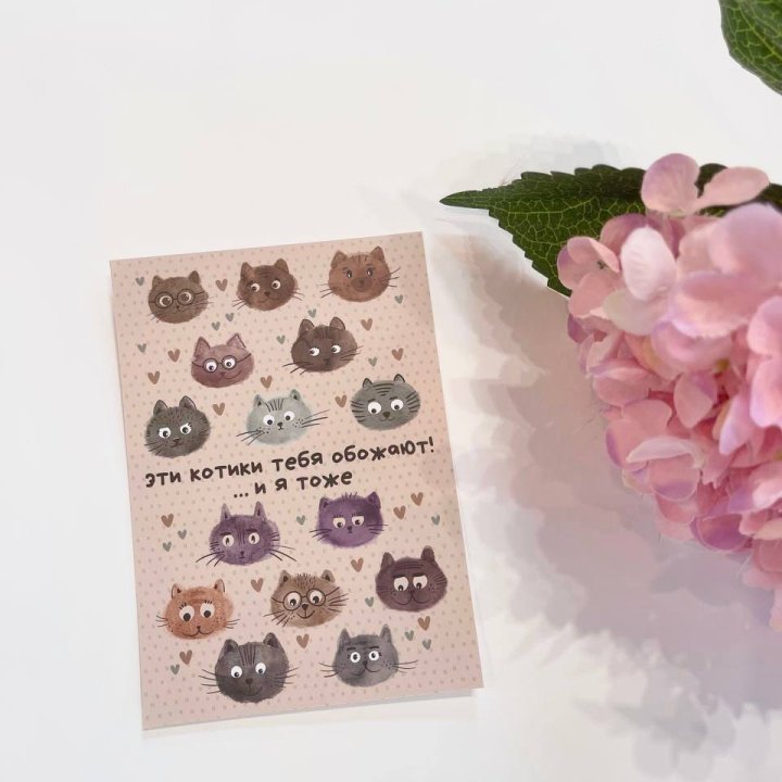 Открытка к букету "Котики" в Томске