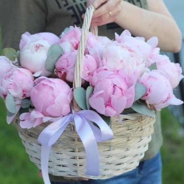 15 пионов в корзине в Томске