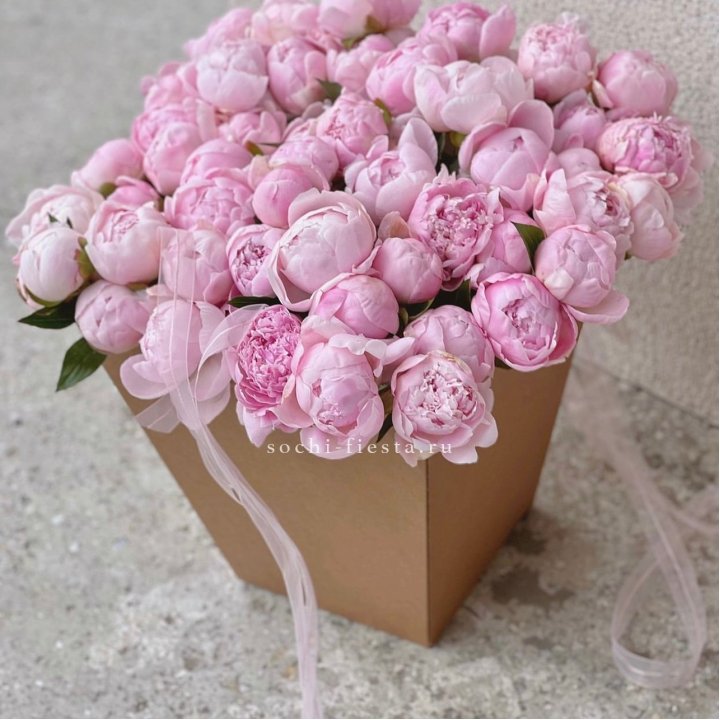 49 пионов в крафт коробке в Томске