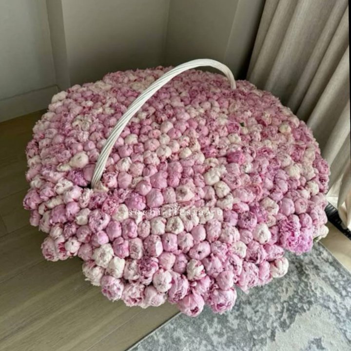 Корзина 555 пионов в Томске