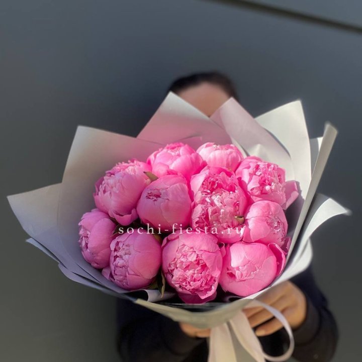 Пионы Алекс флеминг в Томске