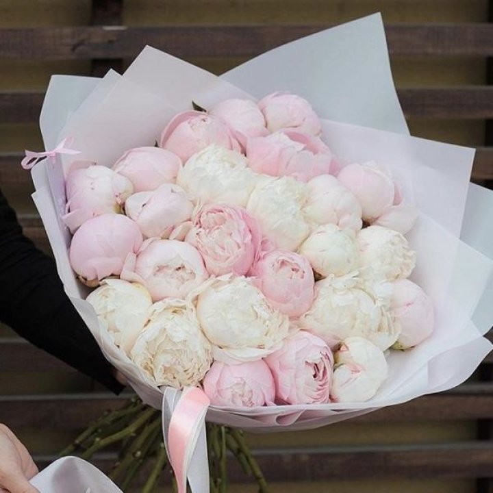 29 пионов в Томске