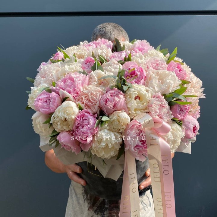 51 пионов в боксе в Томске