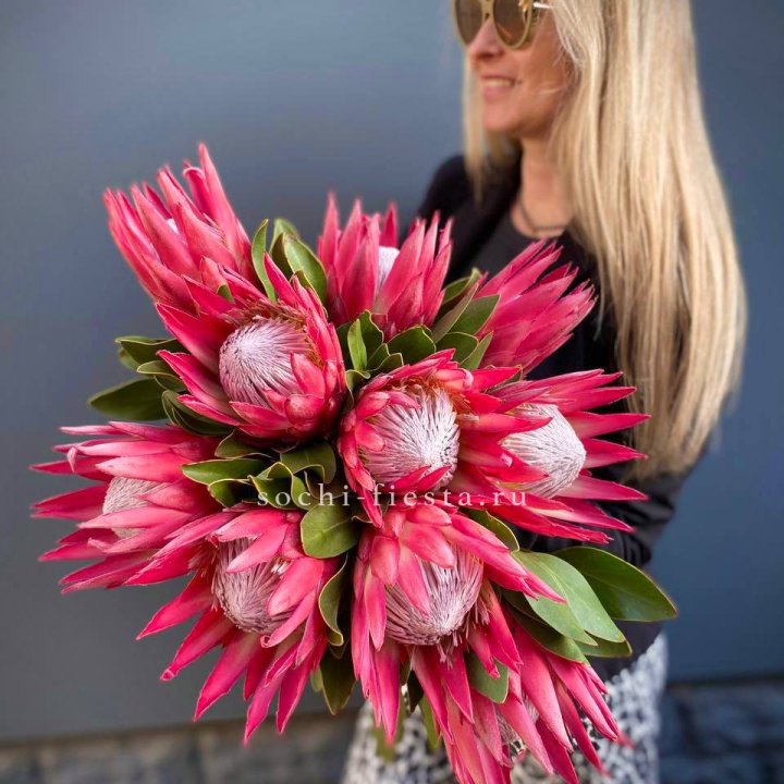 Протея штучно в Томске