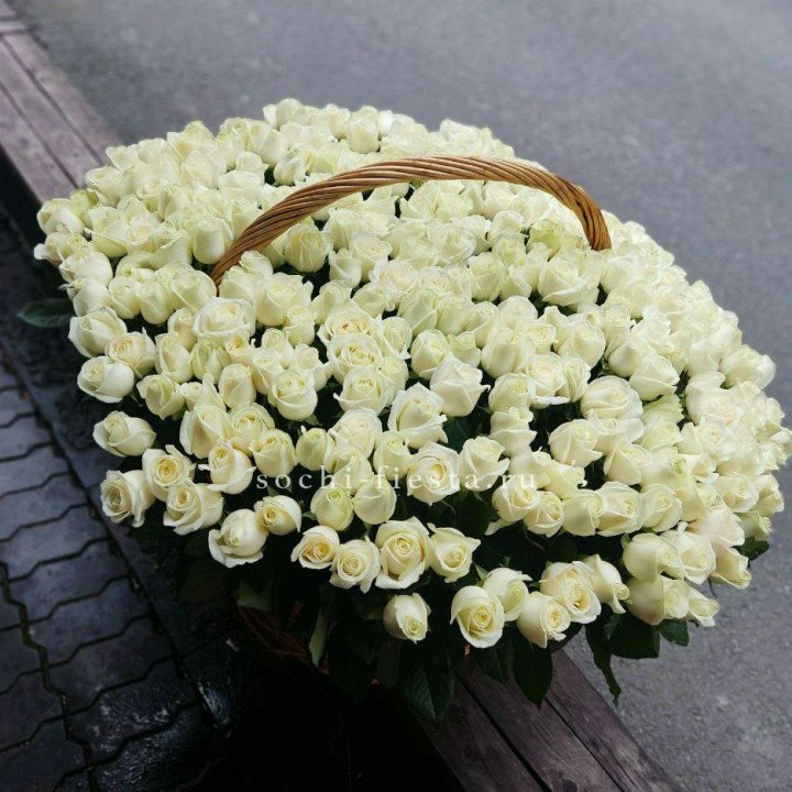 303 розы в корзине в Томске