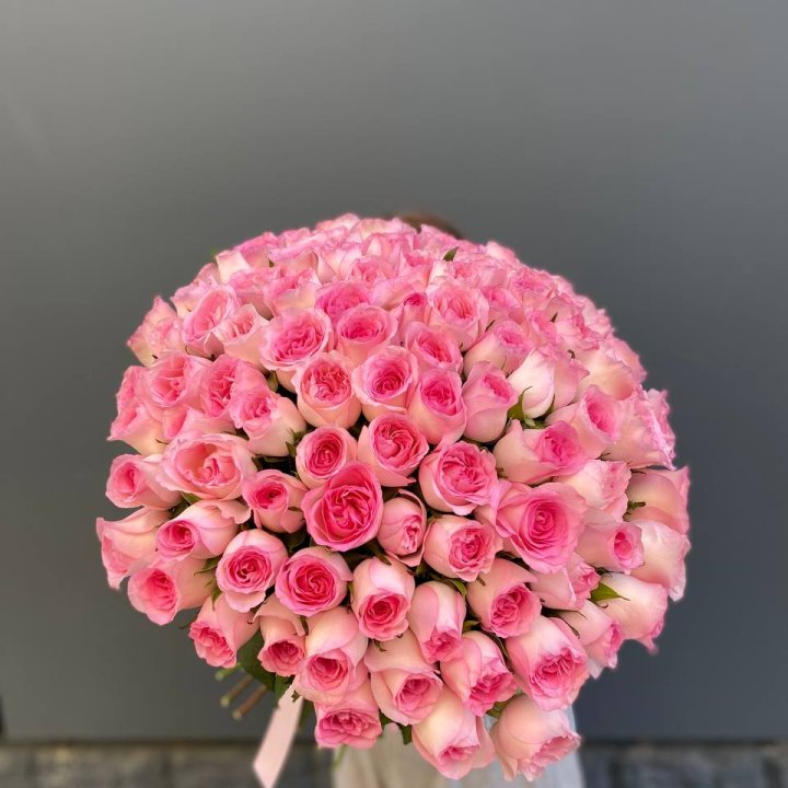 101 розовая роза в Томске