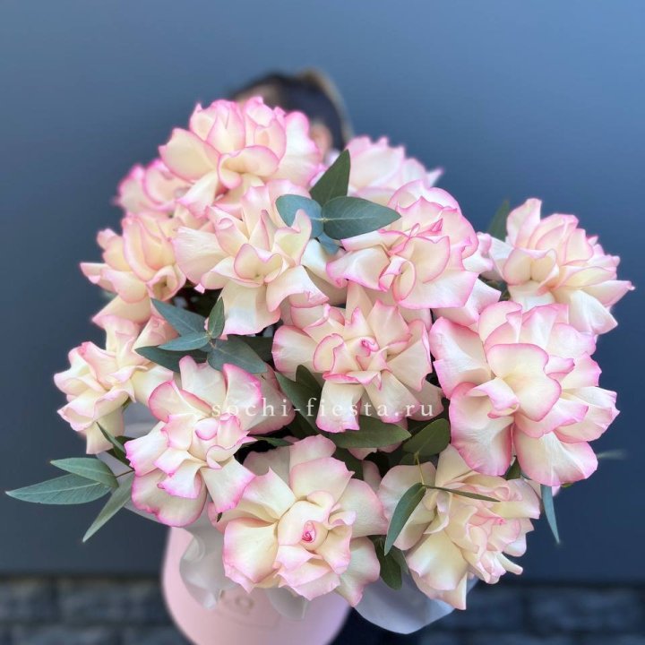 15 Французских роз Джумилия в боксе в Томске