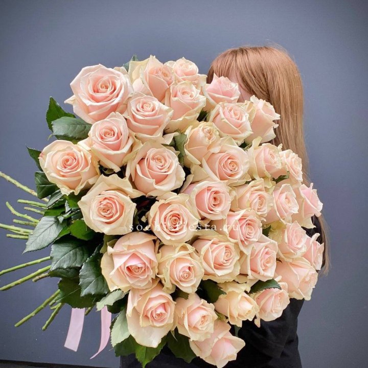 35 кремовых высоких роз в Томске