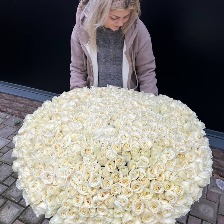 501 белая роза в корзине в Томске