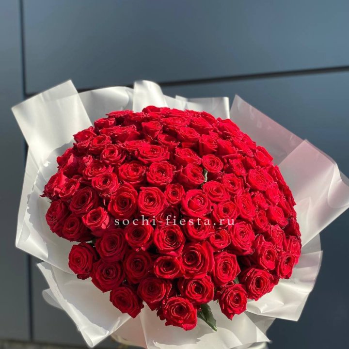 101 высокая роза в Томске