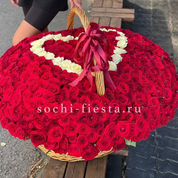 505 роз в Томске