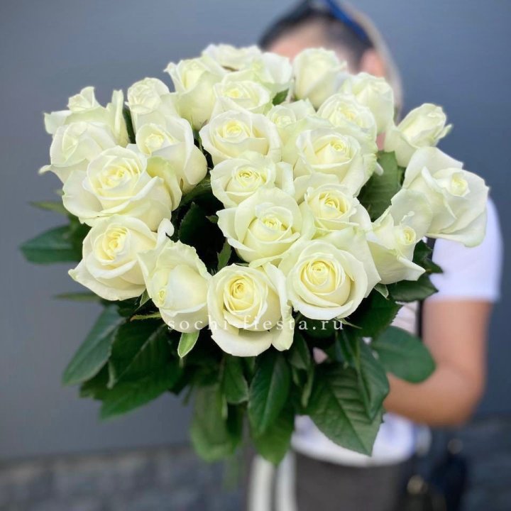 Голландские розы белые 25 в Томске