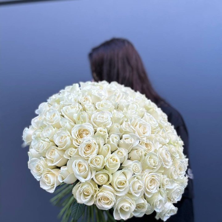 Охапка из 101 белой розы  в Томске