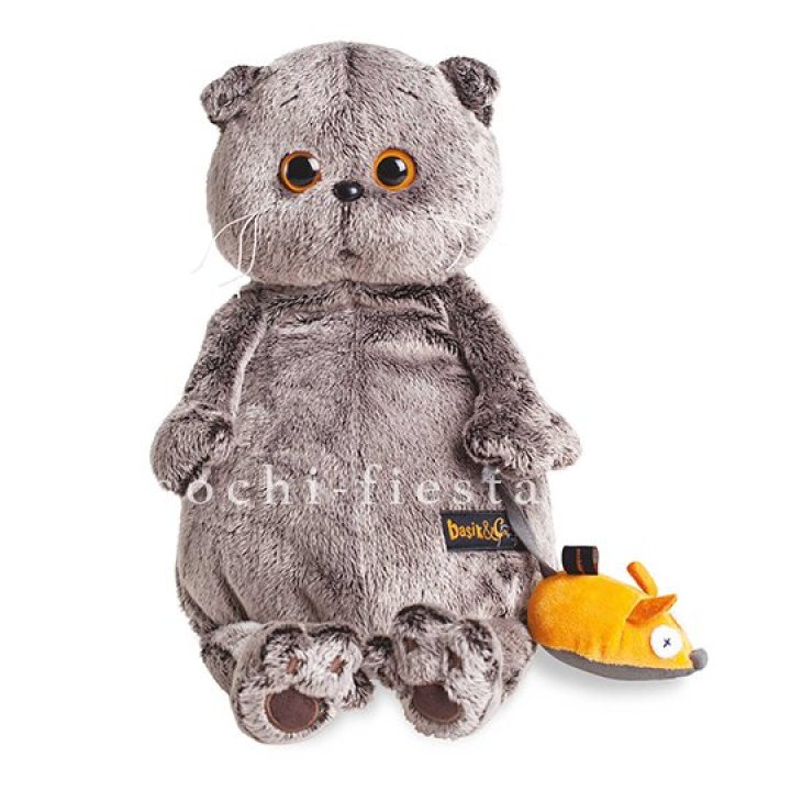 Кот Басик с мышкой в Томске