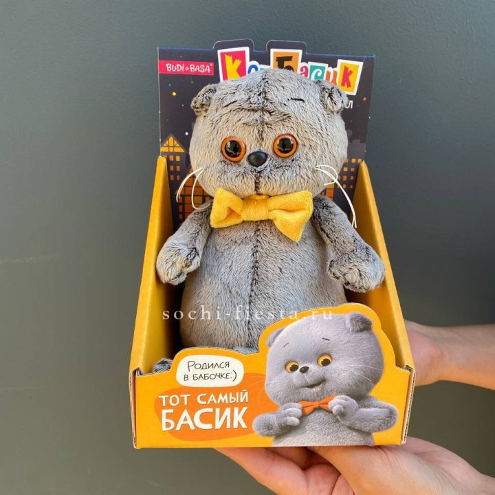 Кот Басик с бабочкой в Томске