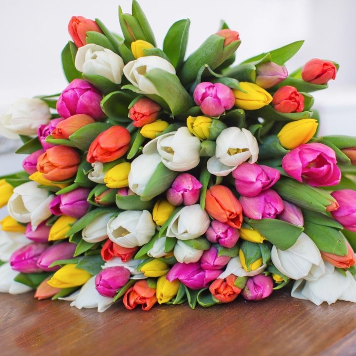 79 тюльпанов "Рандом" в Томске