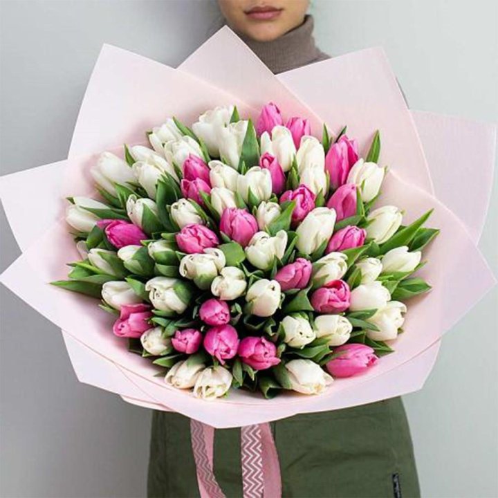 61 бело-розовый тюльпан в Томске