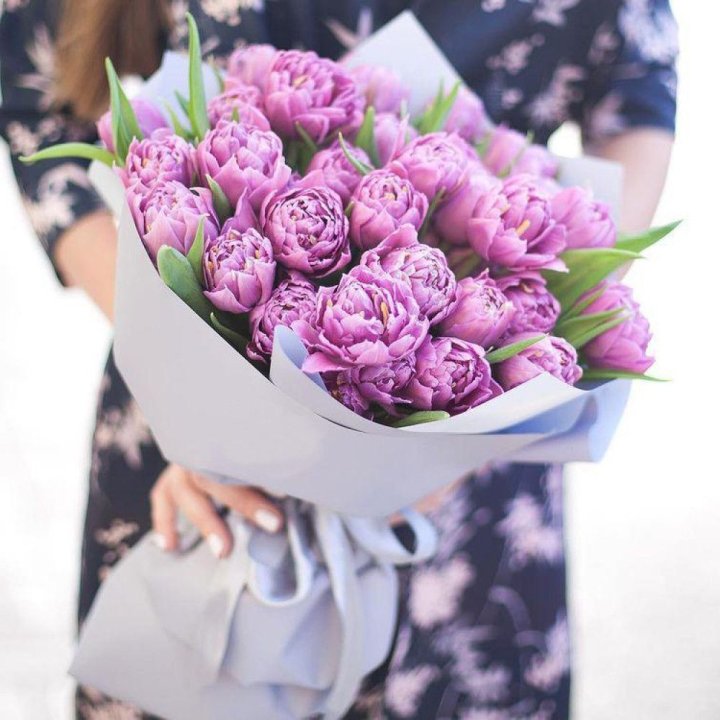 Тюльпаны "Пионс" в Томске