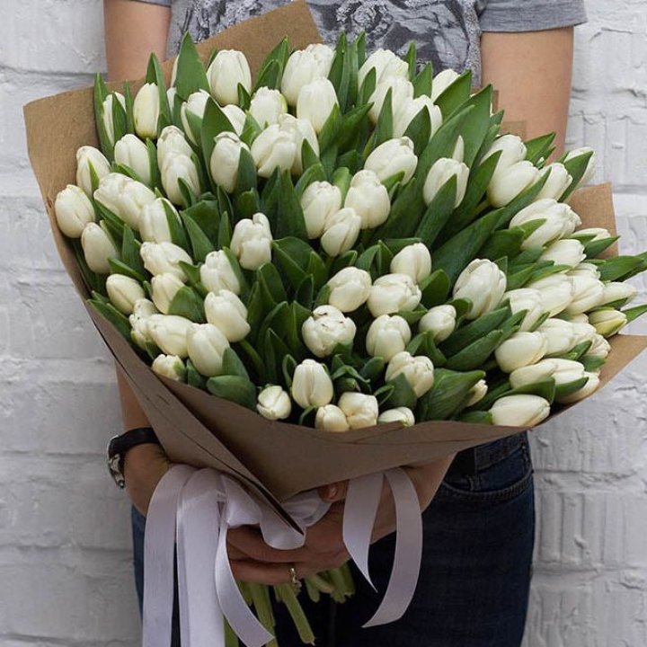 101 тюльпан сноу в Томске