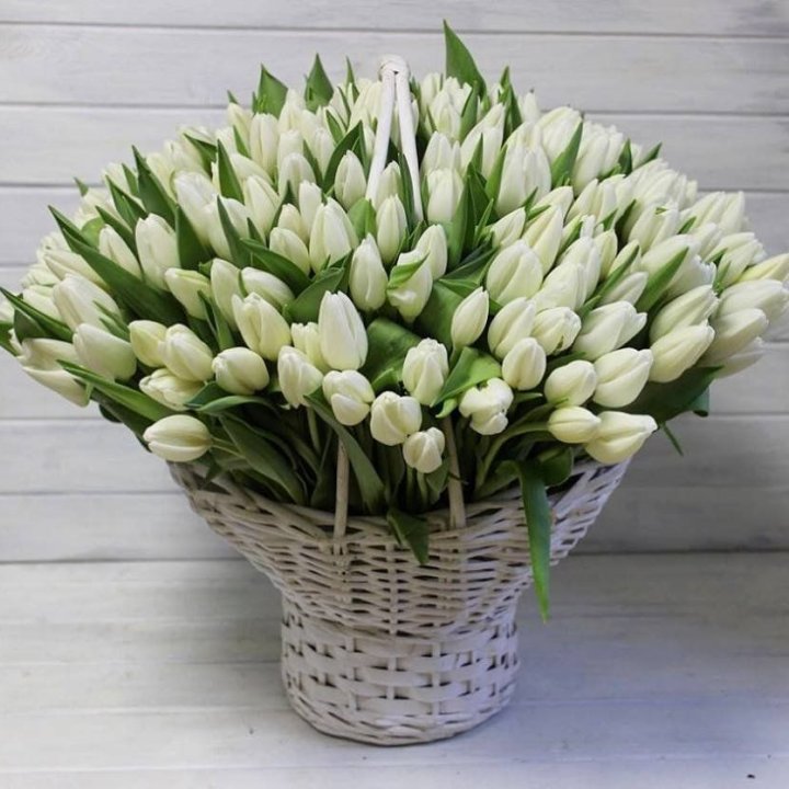 Корзина из 151 тюльпана в Томске