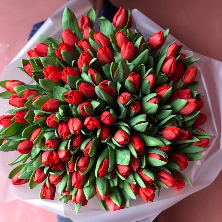 101 красный тюльпан в Томске