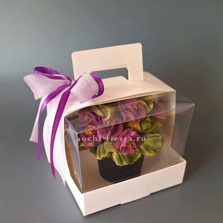  Зефир "Фиалка" в Томске